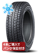 グリップマックス アイスX RWL
