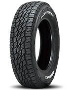 GRIPMAX インセプションA/TⅡ RWL
