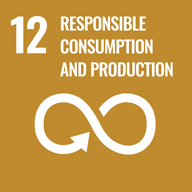 12．Responsible Consumption And Production