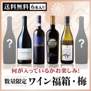 ワイン福箱・梅 （6本セット） 当店ソムリエおすすめセット