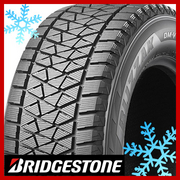 DM-V2 BRIDGESTONE BLIZZAK