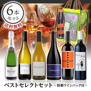 ベストセレクトセット ― 特製ワインバッグ付 ― 当店ソムリエおすすめセット