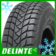 ウィンターWD6(限定)/DELINTE デリンテ
