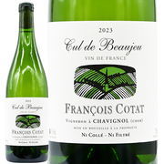 フランソワ コタ  サンセール ブラン キュ ド ボージュ 2023 Francois Cota