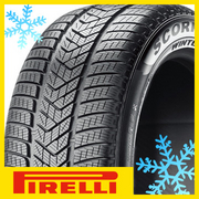 ウィンター elt/PIRELLI スコーピオン