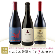 ソムリエ厳選の3本！香り立つ極上な味わい。カリフォルニアピノノワールの魅惑。 当店ソムリエおすすめセット