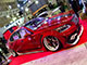 2014/01 Tokyo Auto Salon