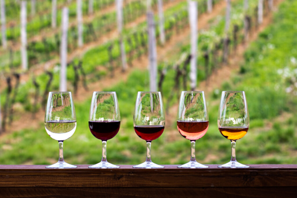 Glasses with wine. Red, pink, white wine in glasses. set of glasses with red, white and rose wine Tasting wine in the vineyard.
