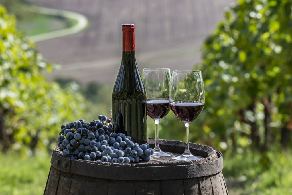 Barrel in a vineyard
