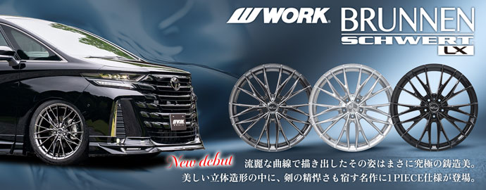 WORKシュバートブルネン LX